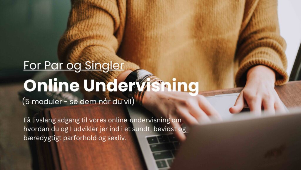 Online Undervisning