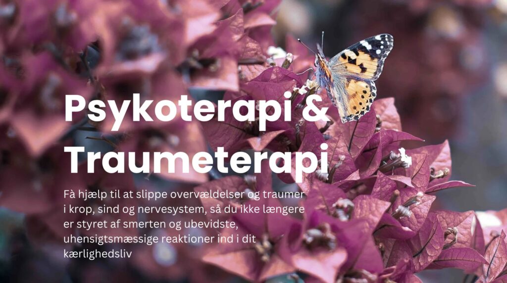 Psykoterapi og Traumeterapi